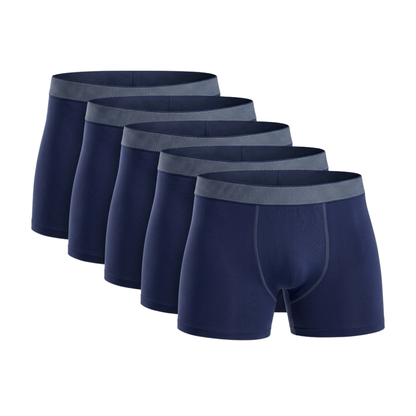 HypeWalk - 6 Piece Cotton Boxer Briefs Set Core Virel